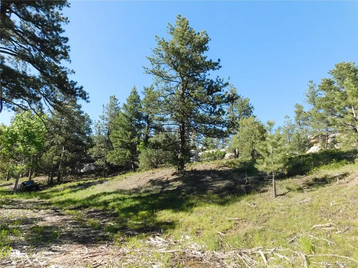 5884 Seminole Trl, Larkspur, CO 80118 - #1