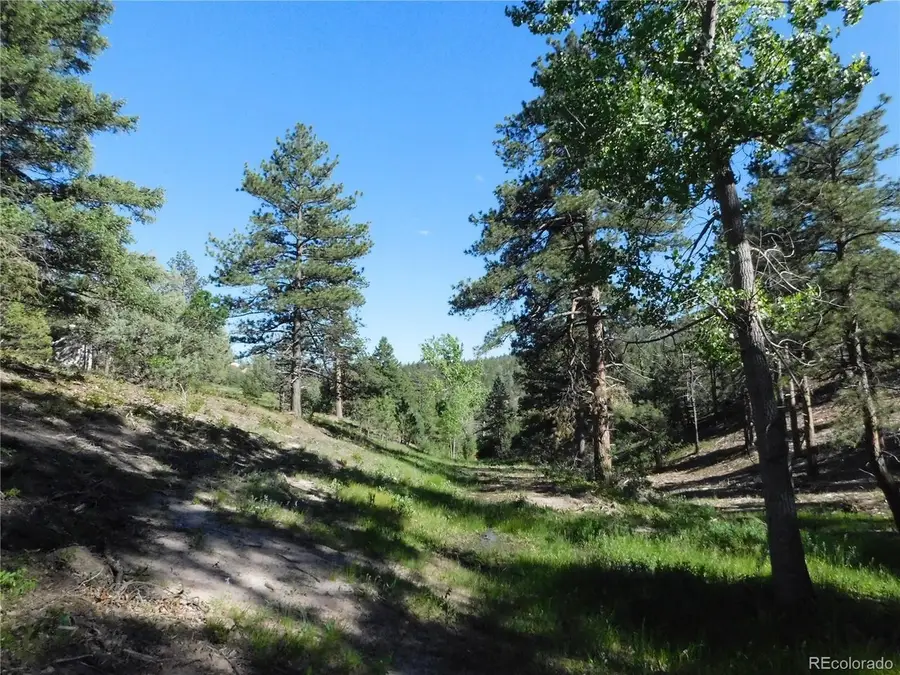 5884 Seminole Trl, Larkspur, CO 80118 - #3