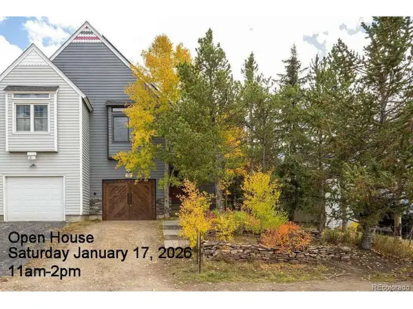 815 Vendome Ave #7, Leadville, CO 80461