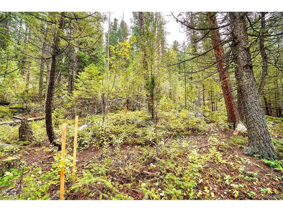 10862 Twin Spruce Rd, Golden, CO 80403 - #2