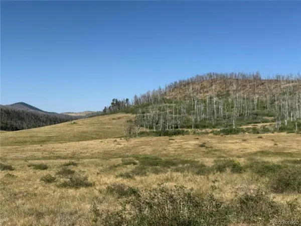 427 Kettleson Pl, Fort Garland, CO 81133