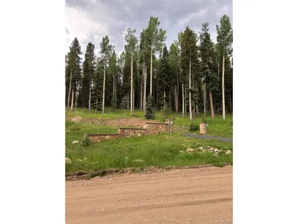 28651 Belle Point Dr, Conifer, CO 80433