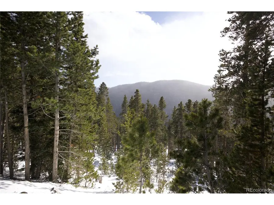 37 Vista Rd, Idaho Springs, CO 80452 - #2