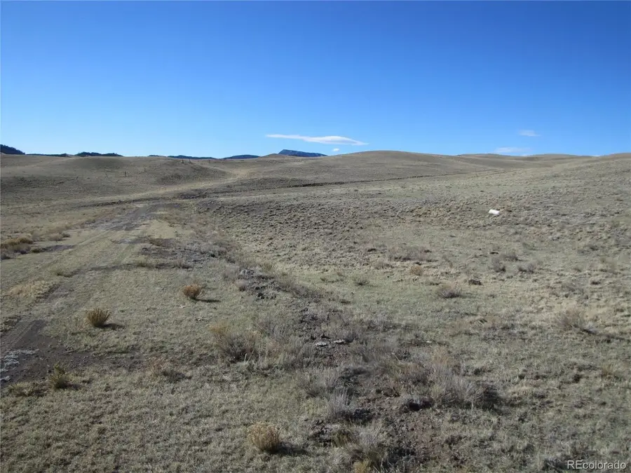 4523 Black Beaver Cir, Hartsel, CO 80449 - #3