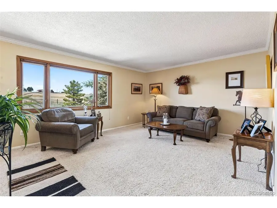 12360 Mesa View Rd, Larkspur, CO 80118 - #3