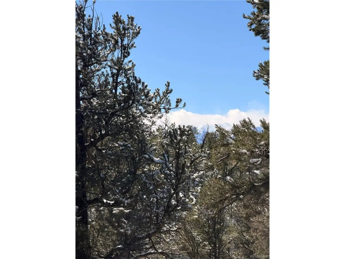 0 41st Trail, Cotopaxi, CO 81223 - #1