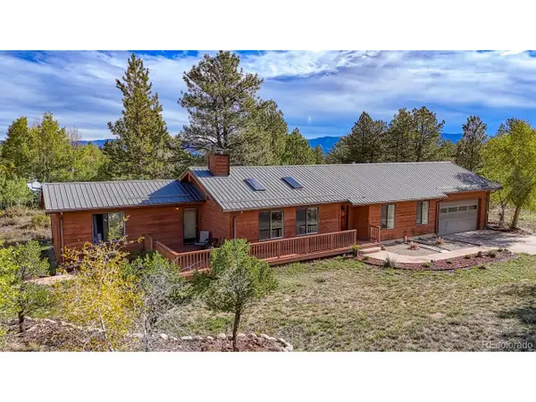 13607 County Road 261 C, Nathrop, CO 81236