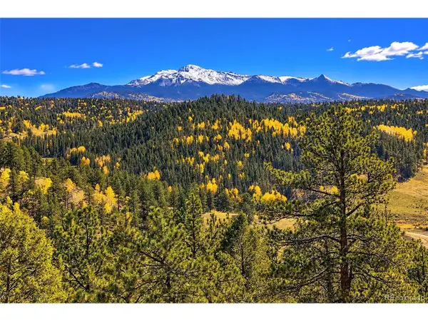 72 Buffalo Creek Trl, Florissant, CO 80816