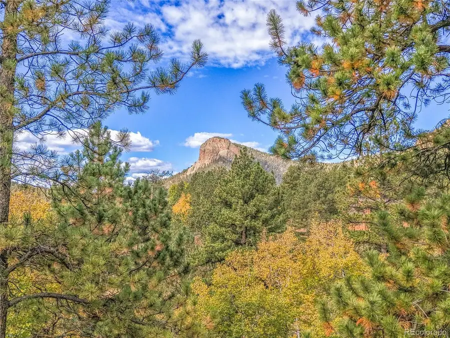 11864 S Stallion Dr, Pine, CO 80470 - Image #2