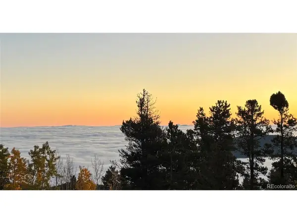10766 Timothys Dr, Conifer, CO 80433