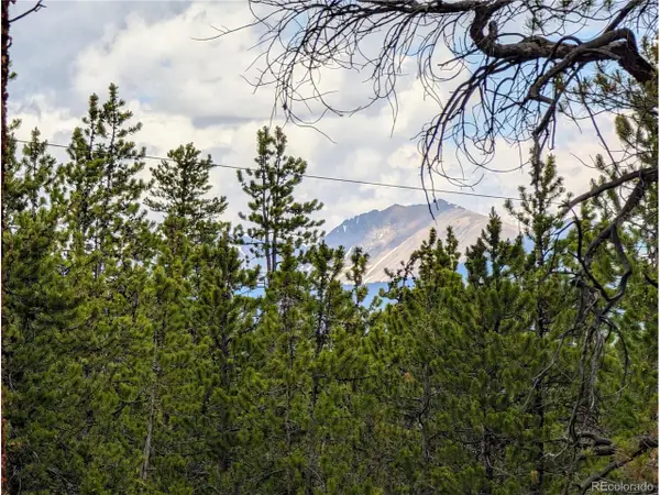 1073 Sequoia Dr, Twin Lakes, CO 81251