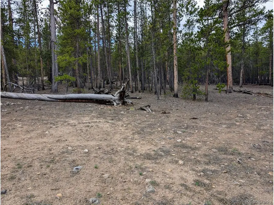 1073 Sequoia Dr, Twin Lakes, CO 81251 - #2