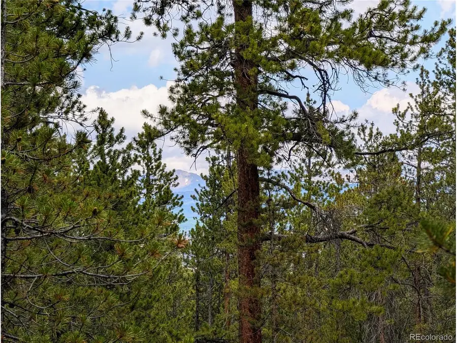 1073 Sequoia Dr, Twin Lakes, CO 81251 - #3