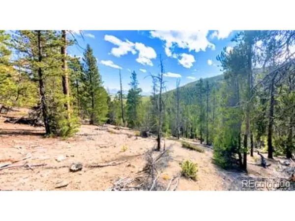 111 Kevin Gulch Rd, Leadville, CO 80461