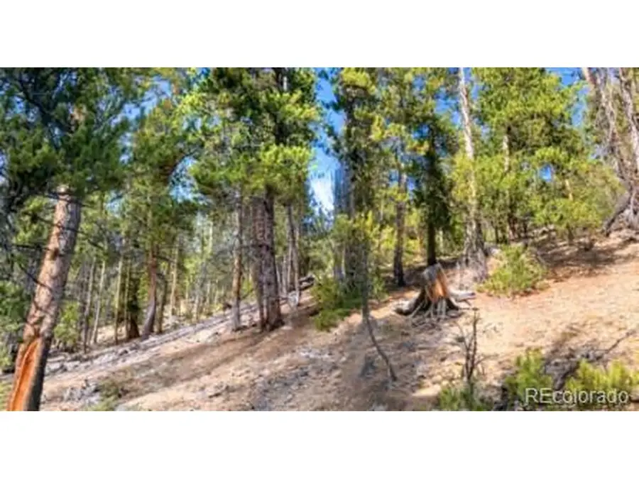 111 Kevin Gulch Rd, Leadville, CO 80461 - #3