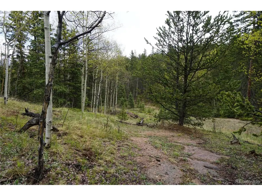 Vacant Land, Cripple Creek, CO 80813 - #3