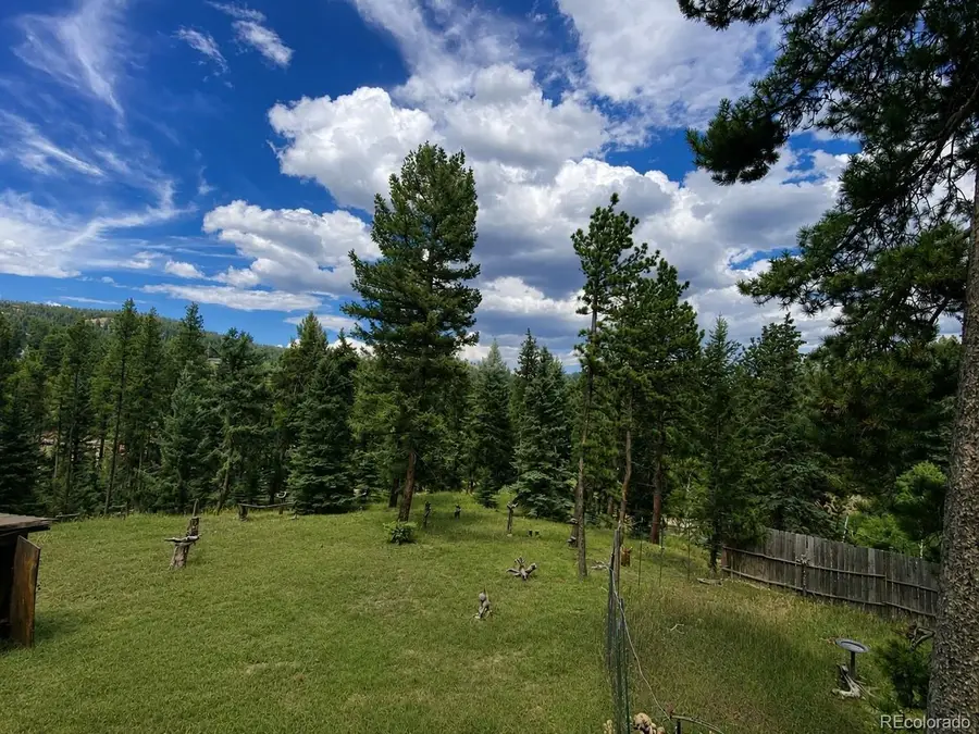 11957 Elk Trail Rd, Conifer, CO 80433 - #3
