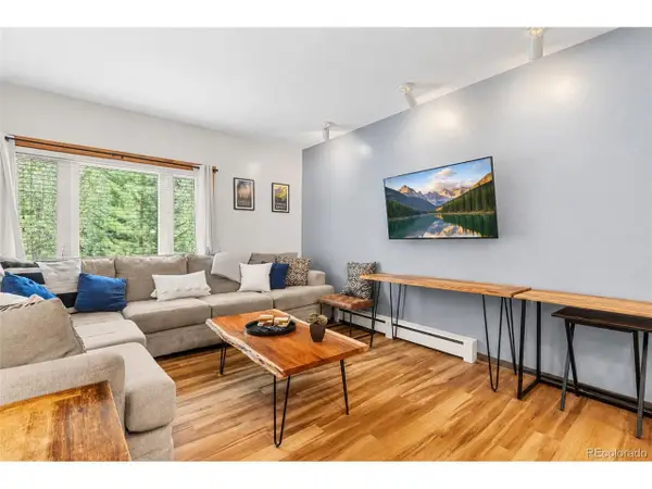 216 Pitkin St #14, Frisco, CO 80443