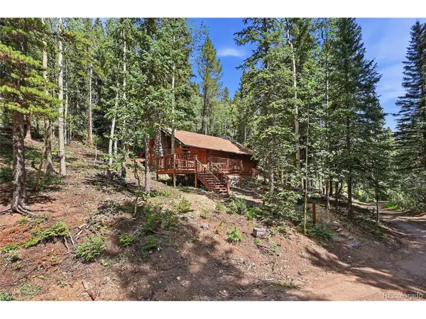 907 Hefferman Gulch Rd, Idaho Springs, CO 80452