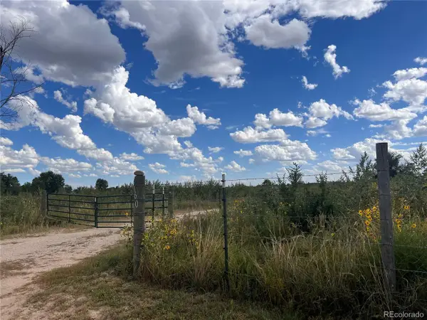 1160 Immel St, Limon, CO 80828