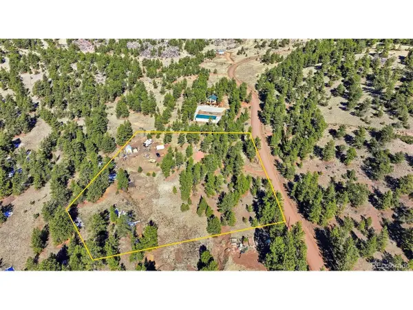 133 Wagon Wheel Rd, Guffey, CO 80820