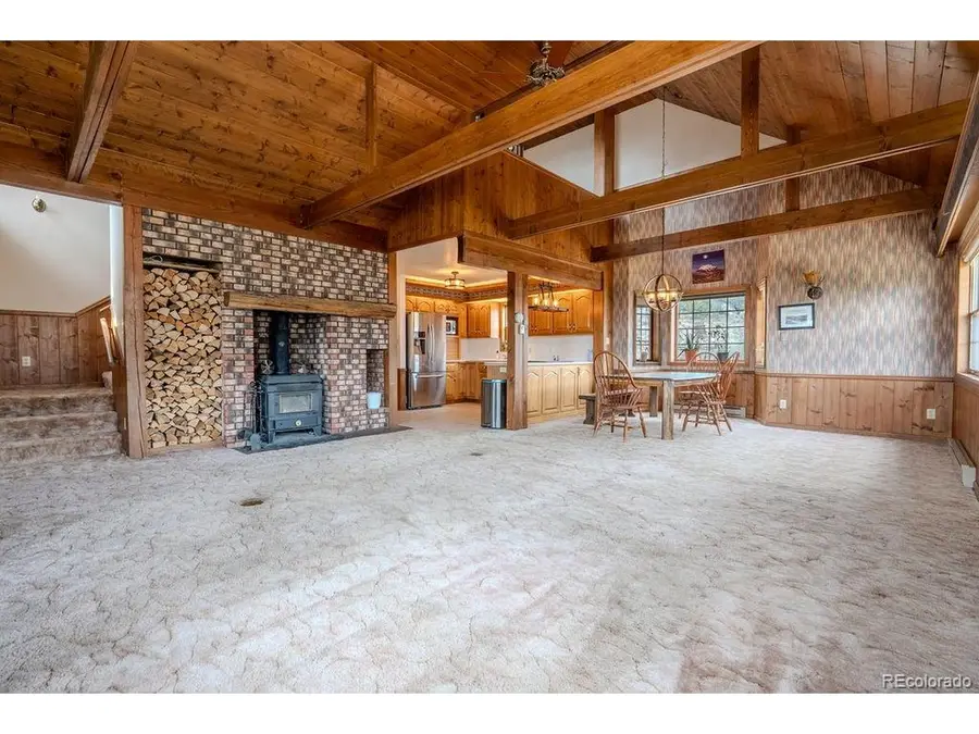 37811 Twin Kopie Rd, Buena Vista, CO 81211 - #3