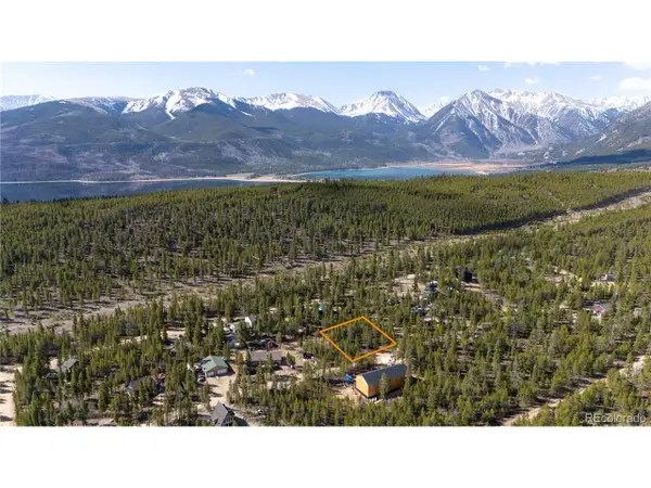 340 Hemlock Dr, Twin Lakes, CO 80461