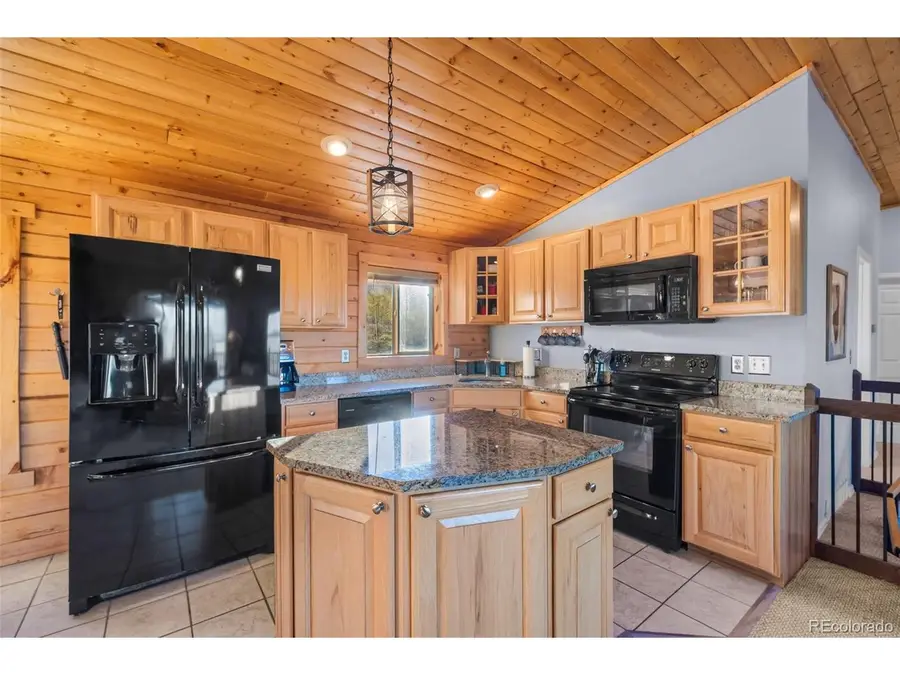 169 Fen Ct, Fairplay, CO 80440 - #3