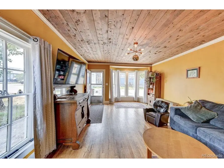 520 Chestnut St, Leadville, CO 80461 - #3