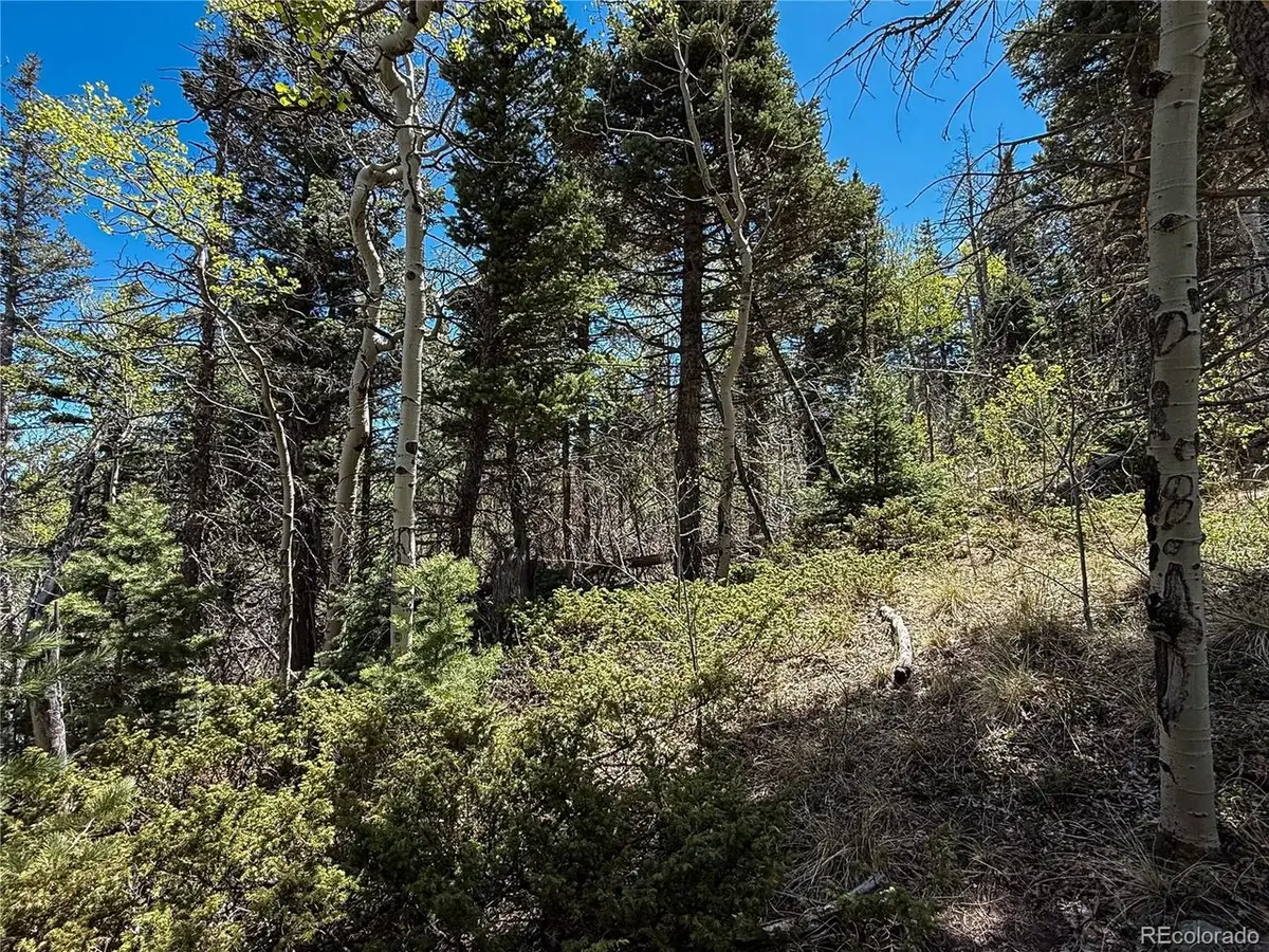 2348 Benton Pl, Fort Garland, CO 81133 - #1