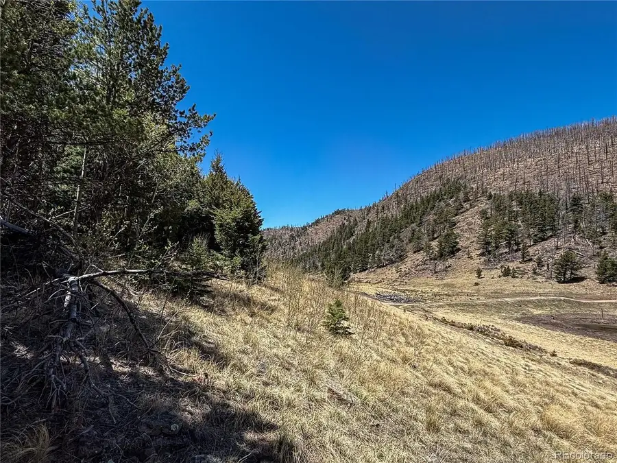 2348 Benton Pl, Fort Garland, CO 81133 - #2