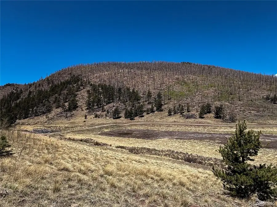 2348 Benton Pl, Fort Garland, CO 81133 - #3