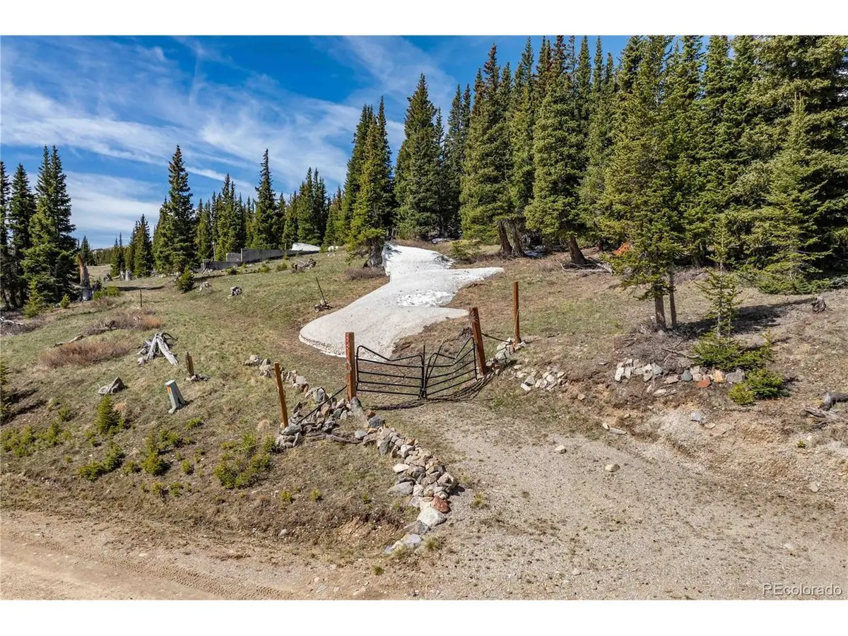 392 Pyrite Pl, Alma, CO 80440 - #1