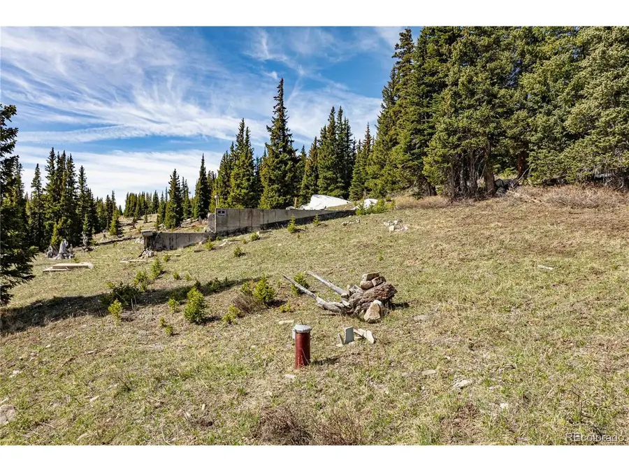 392 Pyrite Pl, Alma, CO 80440 - #2