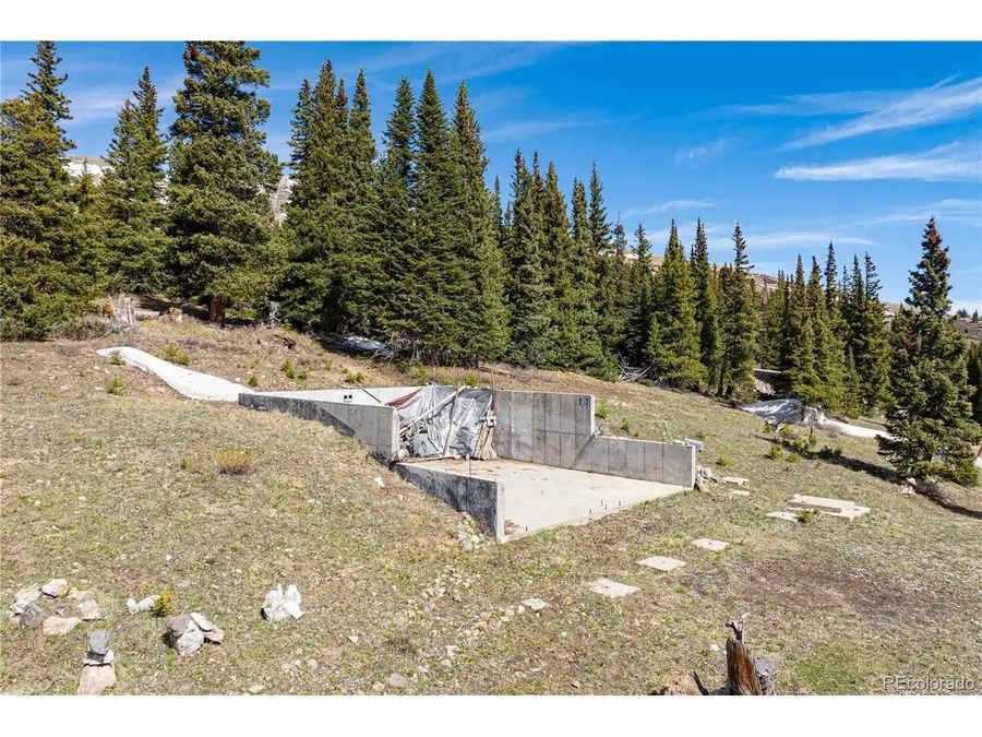 392 Pyrite Pl, Alma, CO 80440 - #3