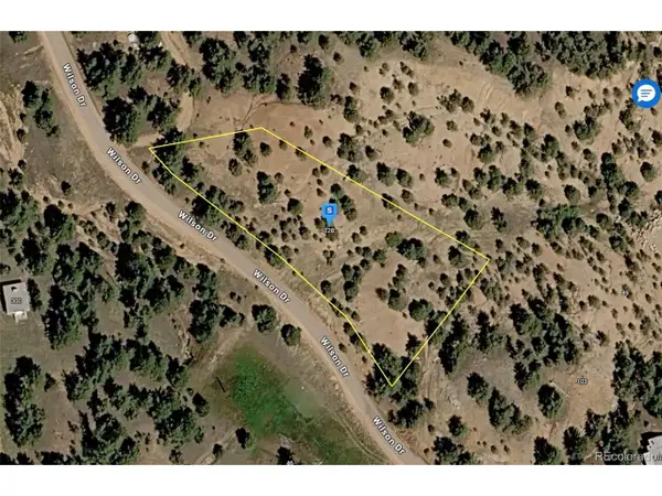 228 Wilson Dr, Florissant, CO 80816