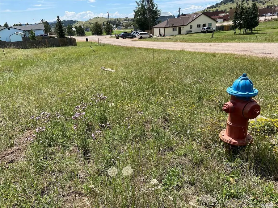 N A St, Cripple Creek, CO 80813 - #3