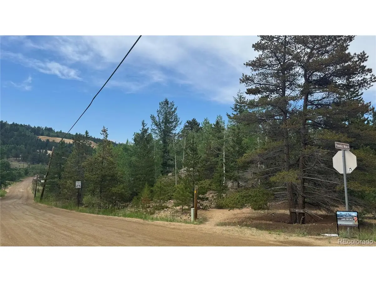 7 Virginia Canyon Rd, Central City, CO 80427 - #1