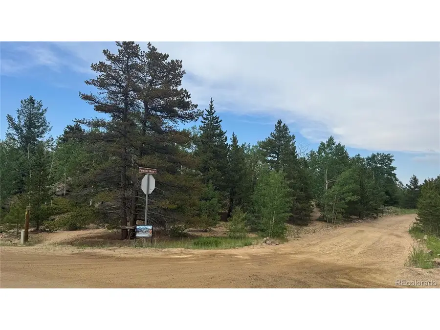 7 Virginia Canyon Rd, Central City, CO 80427 - #2