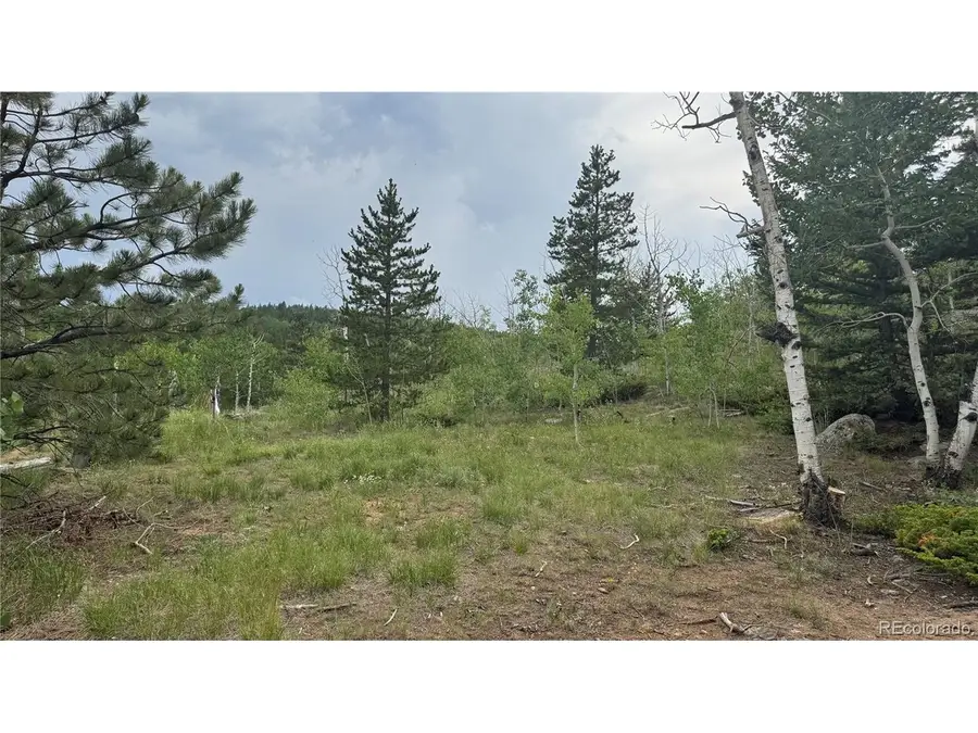 7 Virginia Canyon Rd, Central City, CO 80427 - #3