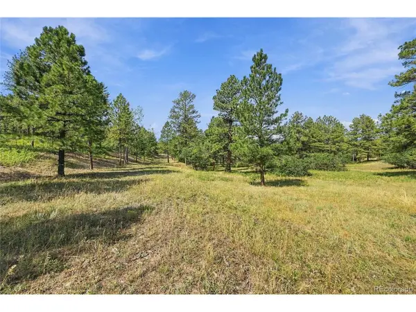 Kinnikinnik Dr, Larkspur, CO 80118