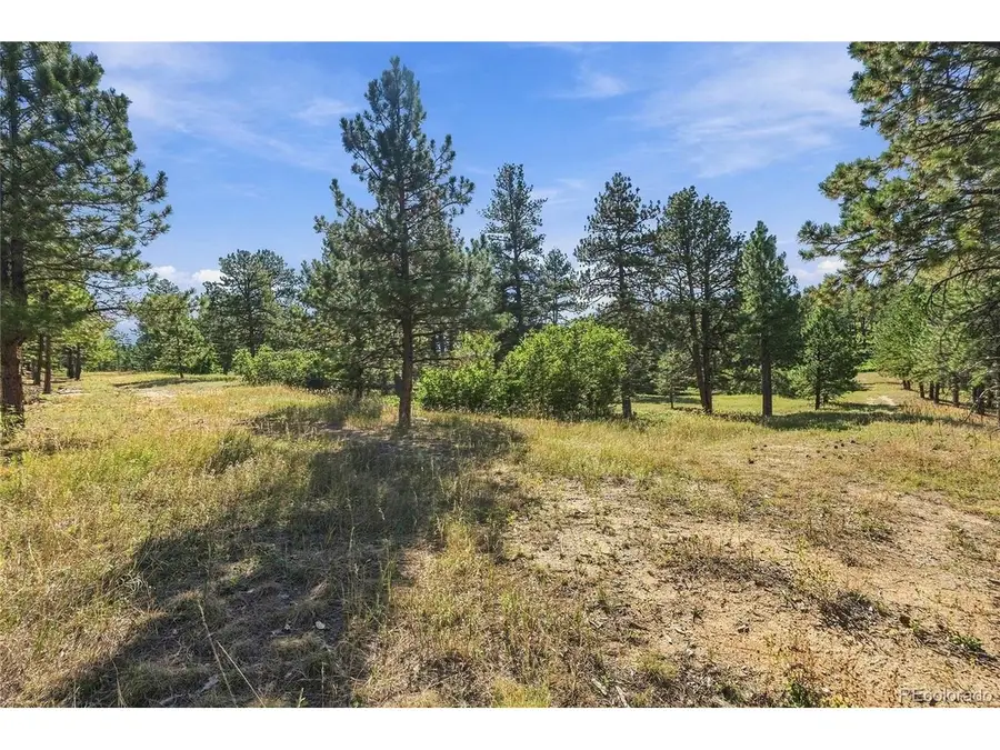 Kinnikinnik Dr, Larkspur, CO 80118 - #3