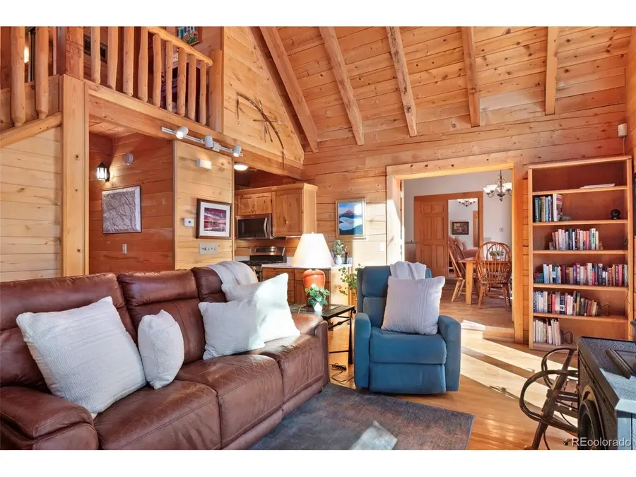 115 Lupine Ln, Leadville, CO 80461 - #3