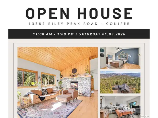 13382 Riley Peak Rd, Conifer, CO 80433