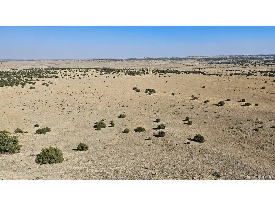 40 Las Animas Ranch, Model, CO 81059 - #3