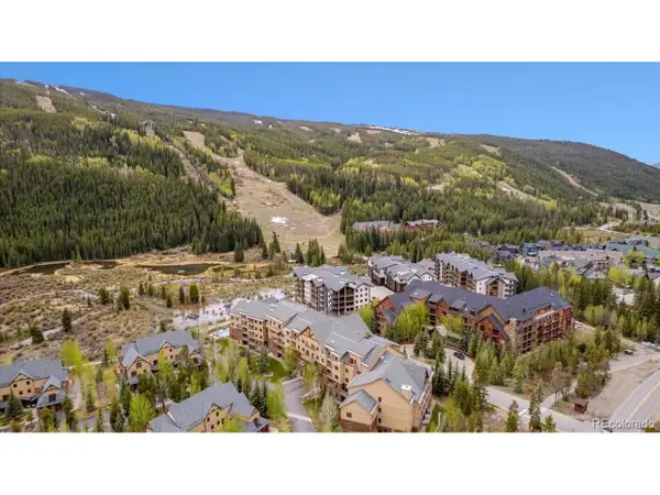 20 Hunki Dori Ct #2295, Dillon, CO 80435