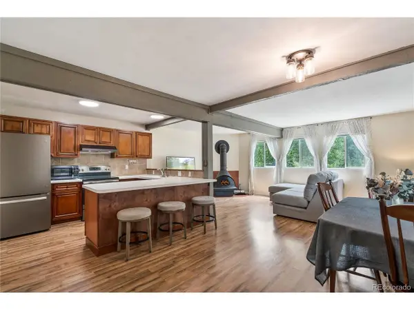 401 Salt Lick Cir #2, Silverthorne, CO 80498