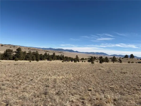 367 Arikara Trl, Hartsel, CO 80449