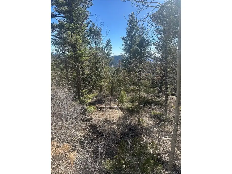 6742 Starkweather Rd, San Luis, CO 81152 - #3