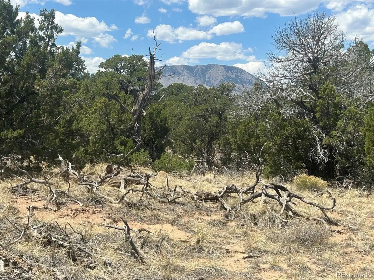 Cr 530, Walsenburg, CO 81089 - #1